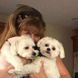 Meet your Posher, Noreen